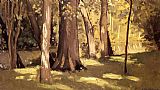 The Yerres, Effect of Light by Gustave Caillebotte